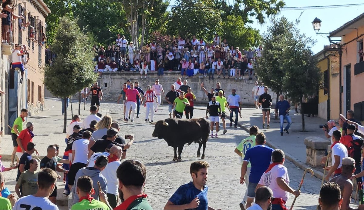 Dron salta la valla en Toro de la Vega, capturando la tradición desde una nueva perspectiva