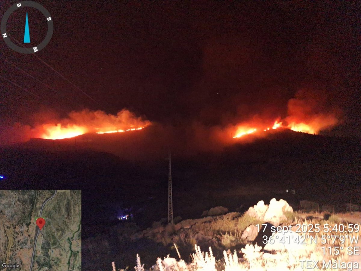 Medios aéreos refuerzan la lucha contra el incendio iniciado en la madrugada en Parauta, Málaga