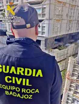 Siete vecinos de Badajoz son investigados por robar más de 1.000 kilos de uva en Valdebótoa