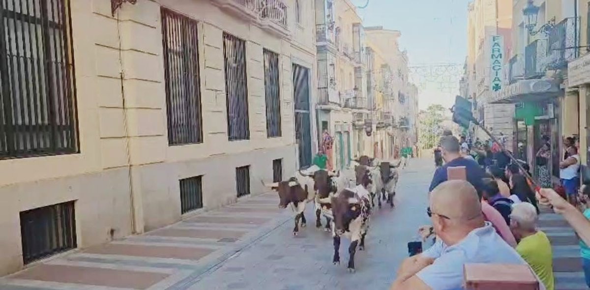 un minuto y 58 segundos son suficientes para narrar la historia del toro en el encierro de
