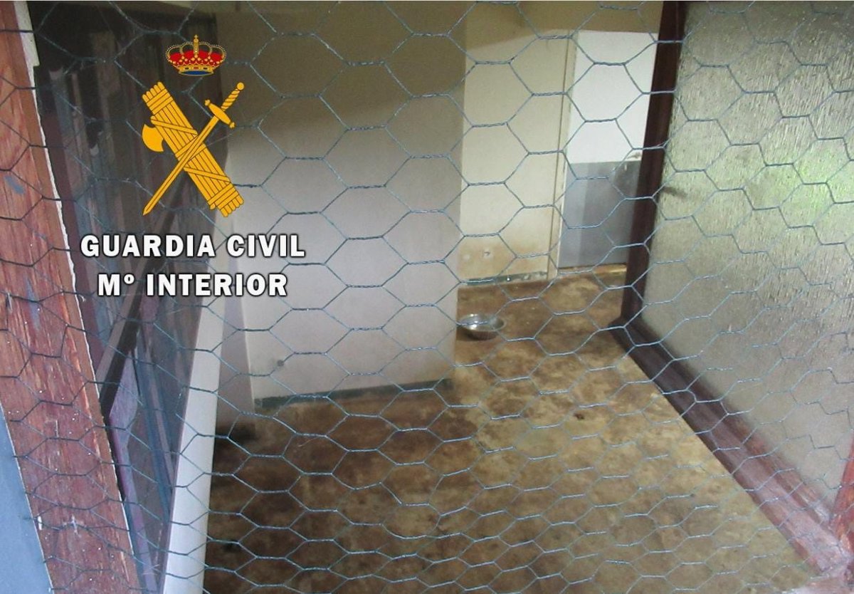 Cierra una residencia ilegal de animales de compañía en la Cuenca de Pamplona por falta de