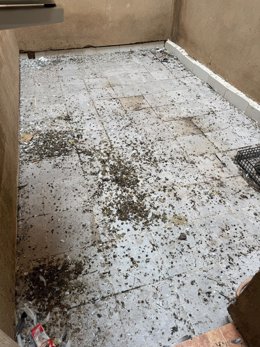 CSIF informa sobre las condiciones insalubres en el centro penitenciario de Logroño