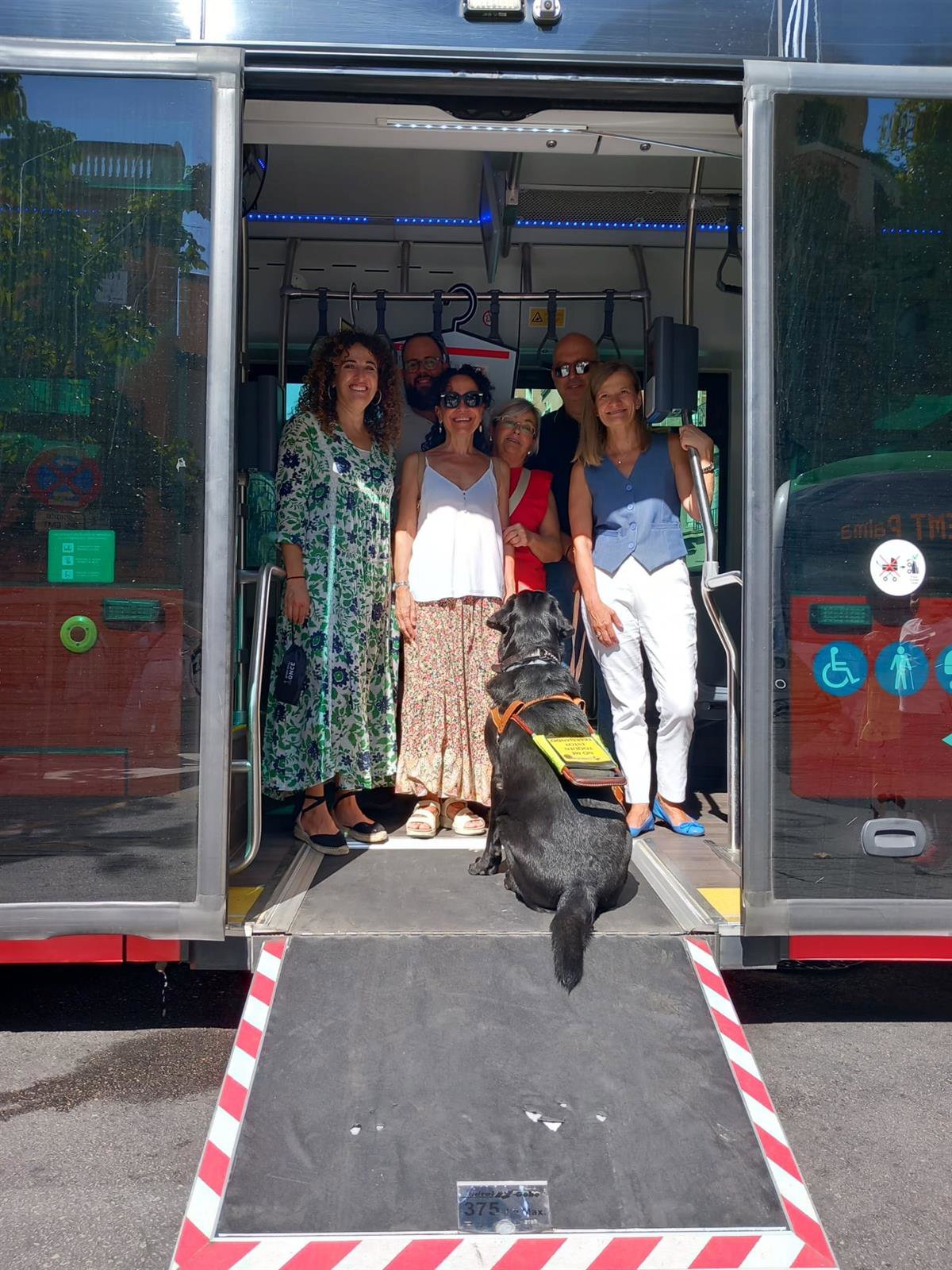 El Govern introduce un sistema de megafonía en los buses TIB para facilitar el acceso a personas