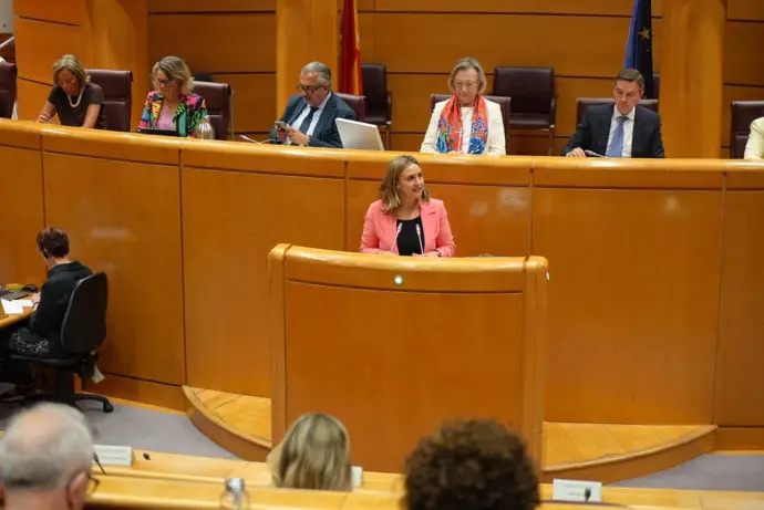 La comunidad inicia un operativo para encontrar a víctimas de violencia de género con pulseras