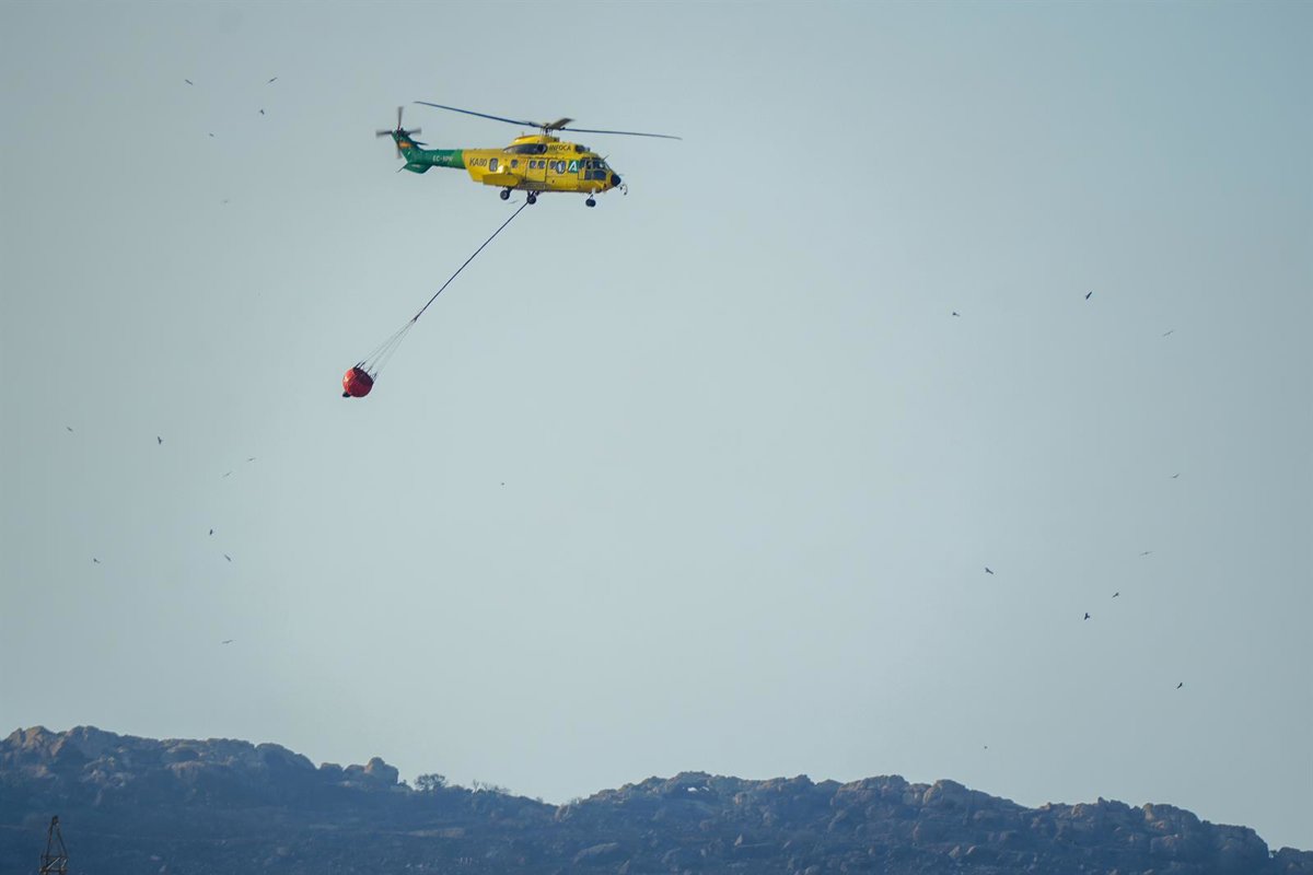 Incendio forestal en el paraje Pasada del Chivo, Almonte (Huelva), ha sido controlado