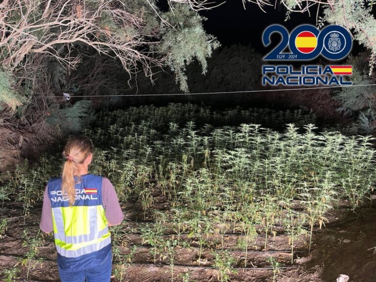 La policía desmantela un cultivo de marihuana en un paraje inaccesible de El Ejido, Almería