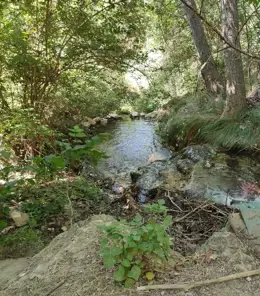 La CHE alerta sobre el riesgo de crecidas en cauces bajos en Aragón, Cataluña, Valencia, Navarra