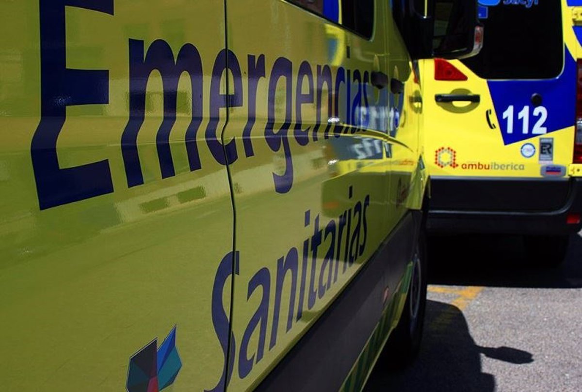 Un hombre muere al caerle un árbol en un pinar de Pedrajas, Valladolid