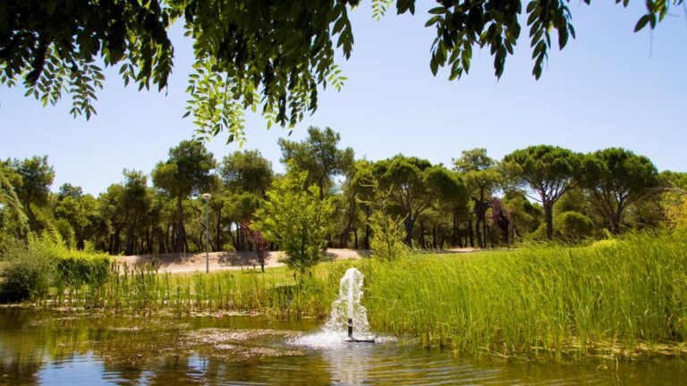 La Comunidad de Madrid destinó más de 76 millones en 2024 a la innovación en la gestión del agua