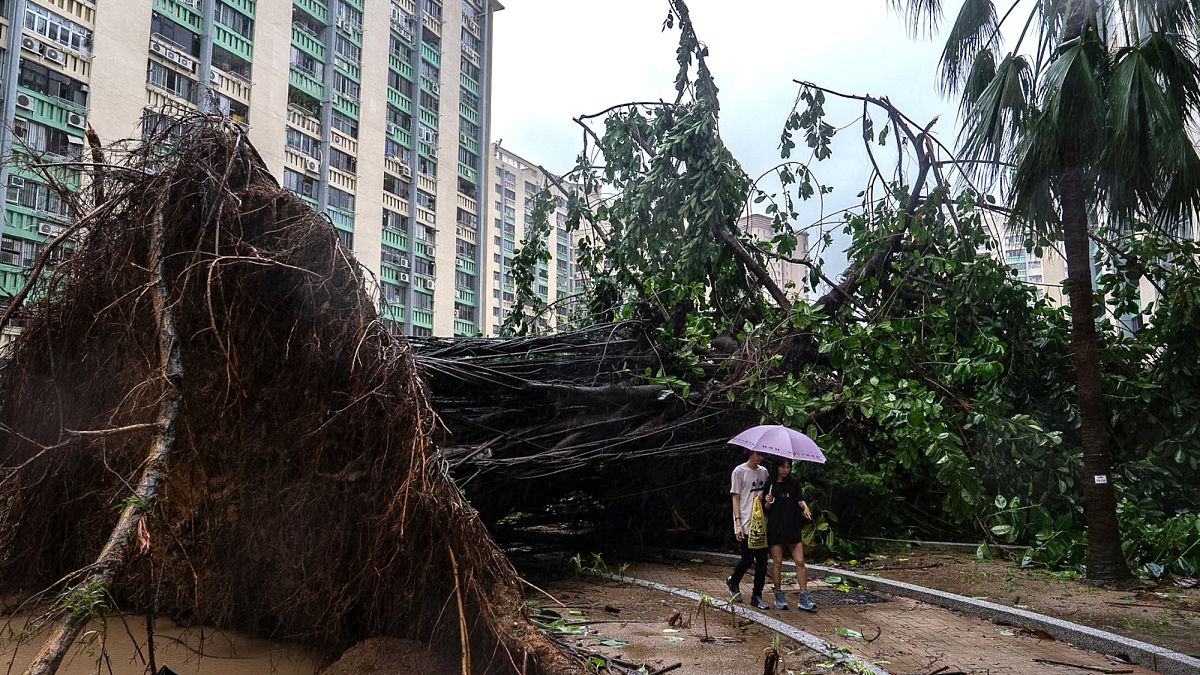 Al menos 15 personas han muerto debido a las inundaciones provocadas por un tifón en Taiwán