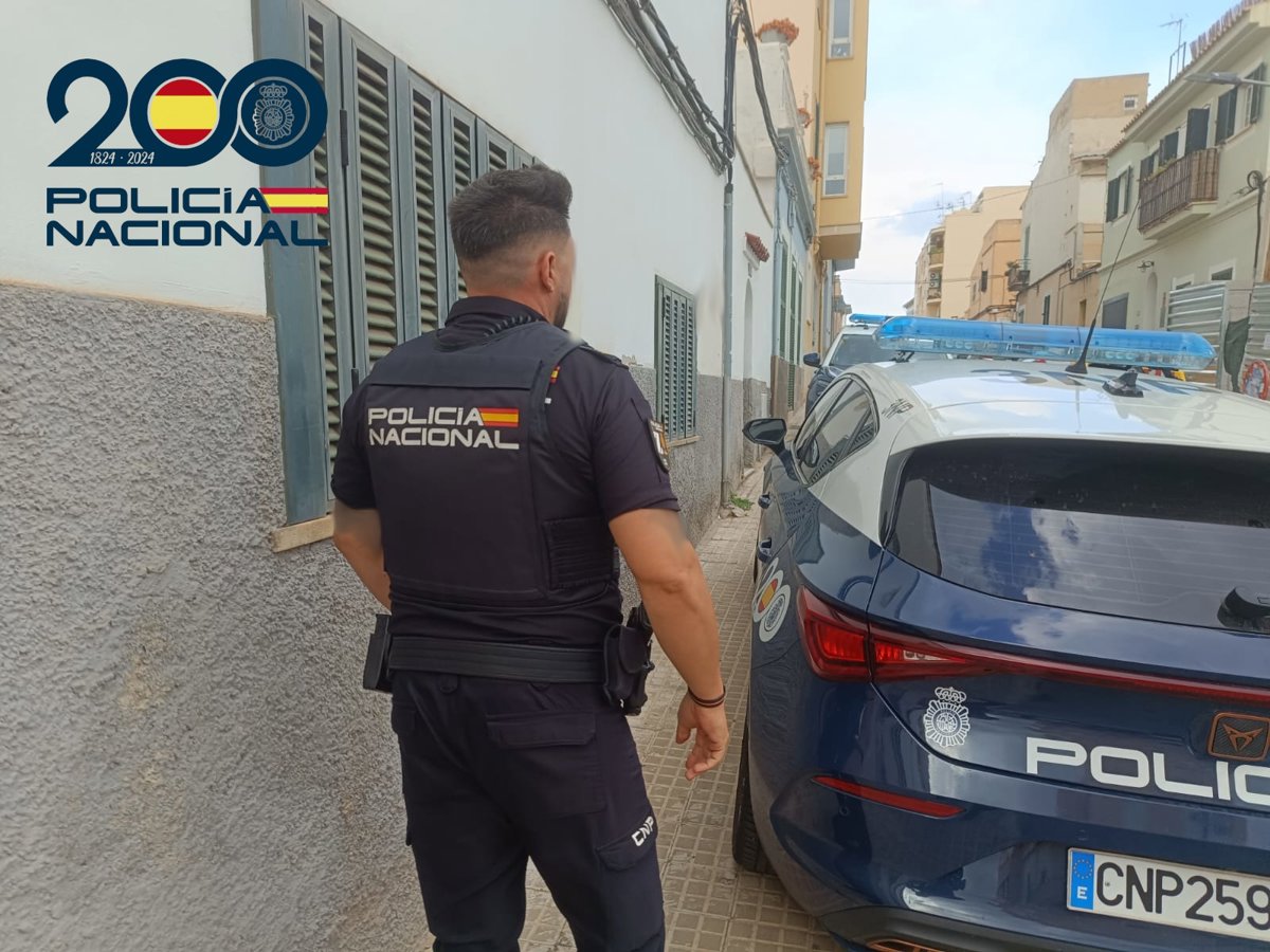 Dos jóvenes arrestados por robo en un domicilio en la zona de Porto Pi