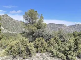 La CARM comienza trabajos para mejorar los hábitats forestales y fortalecer especies protegidas en