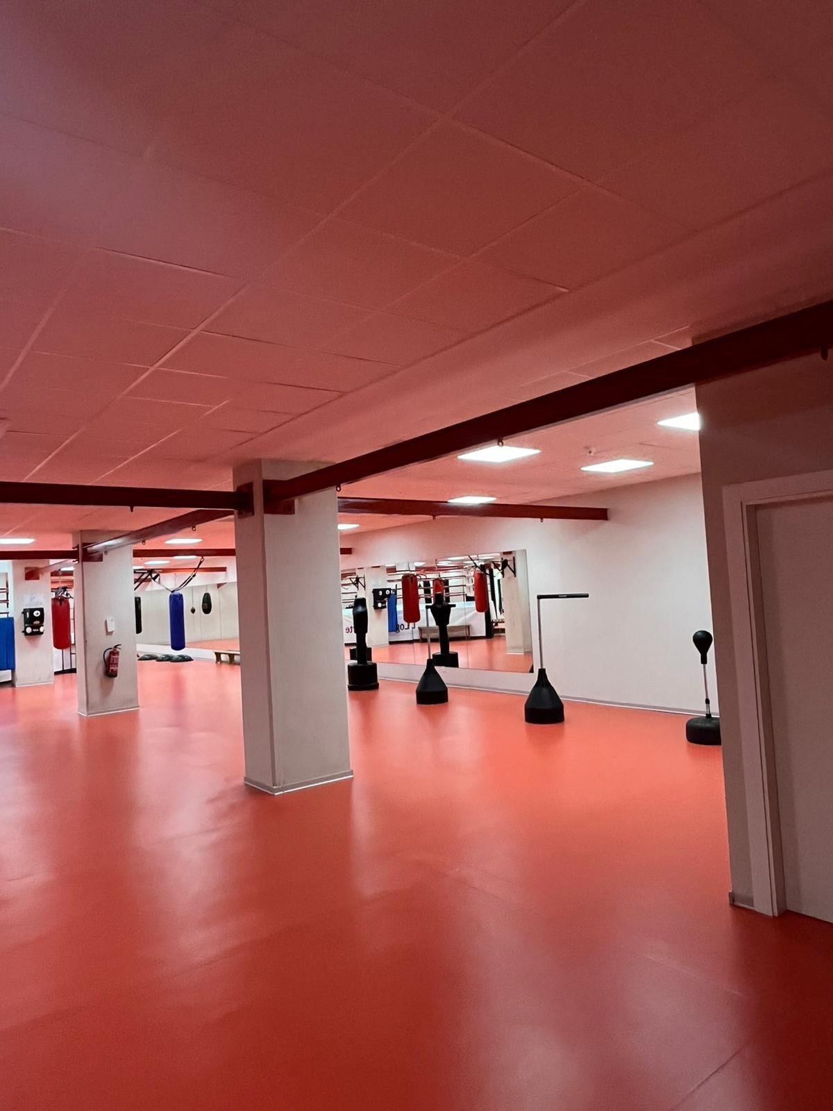 Logroño Deporte expande la sala de boxeo en el Campo de Fútbol de Las Gaunas