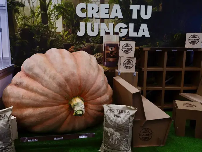 Una calabaza de 1.200 kg y un jardín ignífugo destacan en la nueva edición de Iberflora y La
