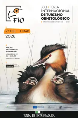 Ana Fernández, la ilustradora extremeña, diseña el cartel de la Feria de Turismo Ornitológico