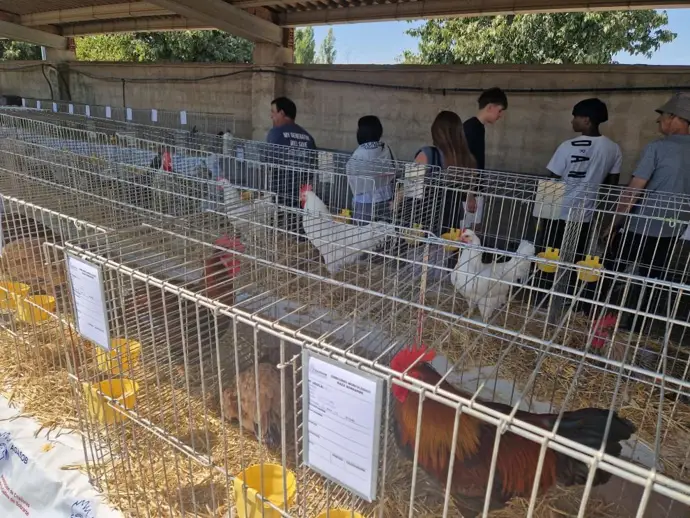 El Departamento de Agricultura incrementa las medidas sanitarias en ferias y exposiciones ganaderas
