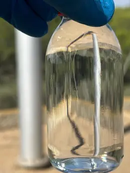 San Pedro del Pinatar cuenta con agua potable lista para el consumo.