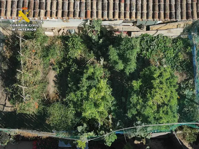 La Guardia Civil encuentra en Arrúbal la casa de donde procedían intensos olores a marihuana