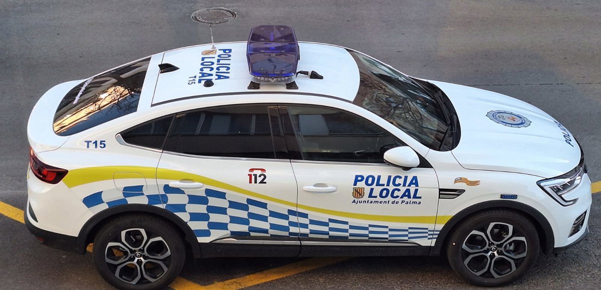 Dos arrestados por hurtos en coches en Palma