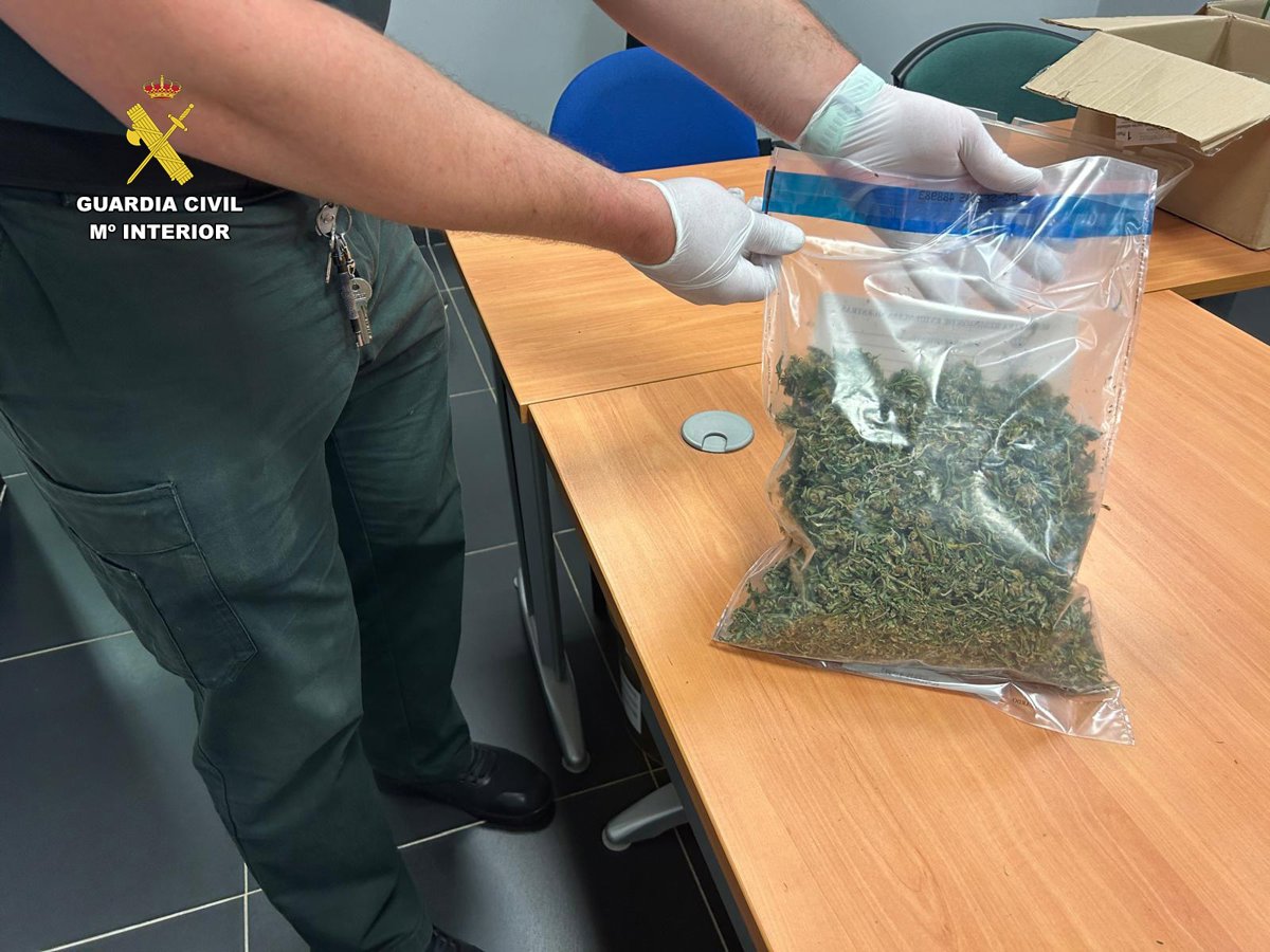 Detenido un hombre de 40 años por violencia familiar y cultivo ilegal de marihuana