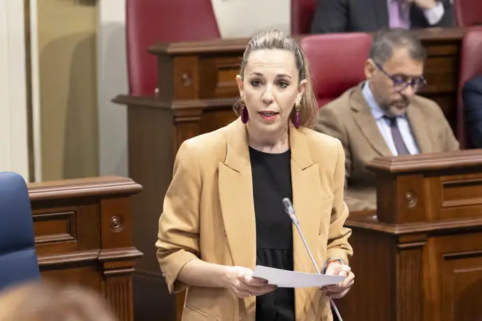 El Parlamento de Canarias aprueba la ley de alquiler vacacional con el voto en contra de PSOE, NC y