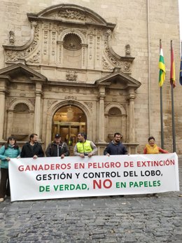 Concentraci&oacute;n de ganaderos del Camero Viejo a las puertas del Parlamento de La Rioja