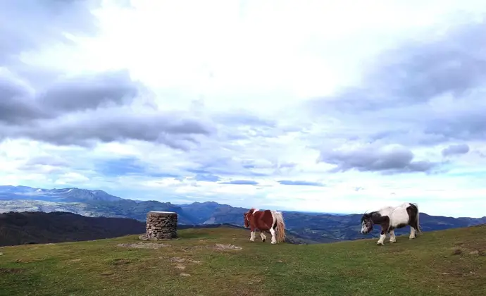 Cielos nublados y temperaturas máximas de 13 grados este martes en Euskadi