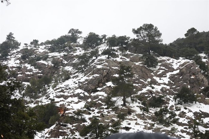 Archivo - Nieve en el campo, a 2 de marzo de 2023, en Lluc, Mallorca, Baleares (Espa&ntilde;a).