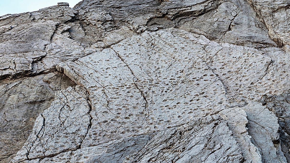 Hallan en Italia miles de huellas de dinosaurio del triásico, un valioso tesoro paleontológico