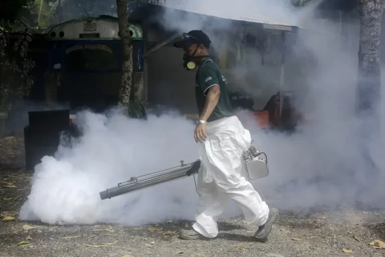 Panamá registra 25 muertes y 15.098 casos de dengue en 2025, según EFE