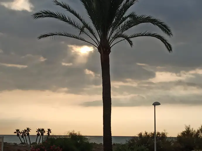 Cielo nublado y posibilidad de lluvias ligeras este jueves en la Comunitat. Llorca se encuentra con