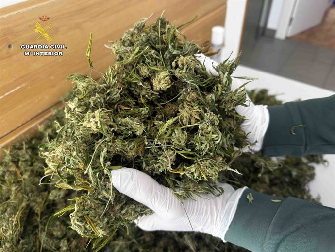 Archivo - La Guardia Civil investiga a un vecino de Viguera por cultivar marihuana en una vivienda