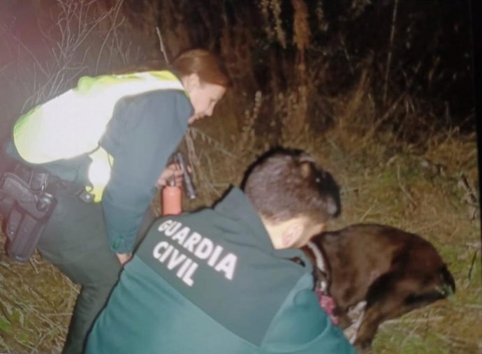 Guardia Civil y Bomberos rescatan a tres perros ca&iacute;dos a un barranco en la N-232 entre Torremontalbo y Cenicero