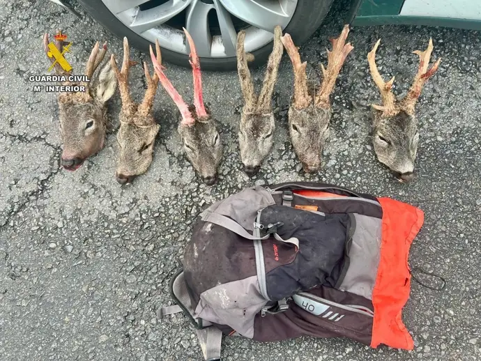 Detenidos en Trujillo dos hombres de Huelva por arrojar seis cabezas de corzo desde un coche