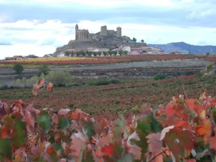 Adra lanza una nueva convocatoria de ayudas LEADER para la Rioja Alta con 700.000 euros disponibles