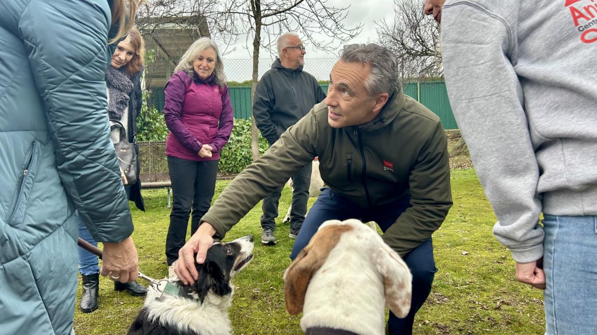 La Comunidad de Madrid actualiza la app Mascomad para fomentar la adopción de mascotas y mejorar