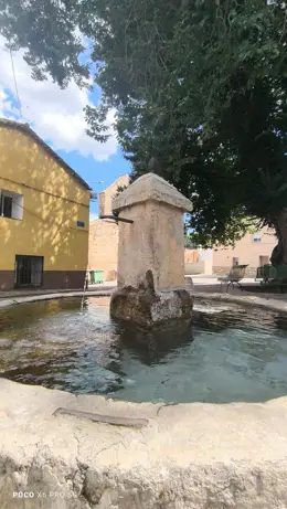 La Guardia Civil recupera la piña bicentenaria sustraída en Collados, Cuenca