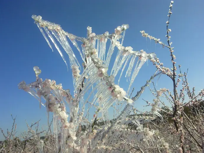 Los Reyes Magos dejan en la Comunitat cielos despejados, heladas y mucho frío, con nieve acumulada