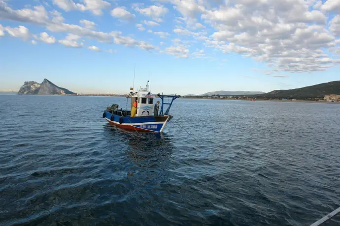 nueva normativa de pesca recreativa en andalucía entra en vigor este sábado