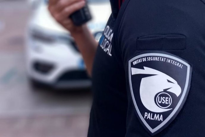 Un agente de la Polic&iacute;a Local de Palma adscrito a la Unidad de Seguridad Integral (USEI). Recurso. Archivo.