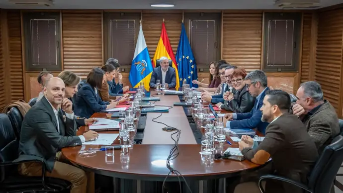 Canarias pide al Gobierno que se avance en la gestión compartida de aeropuertos y los incentivos