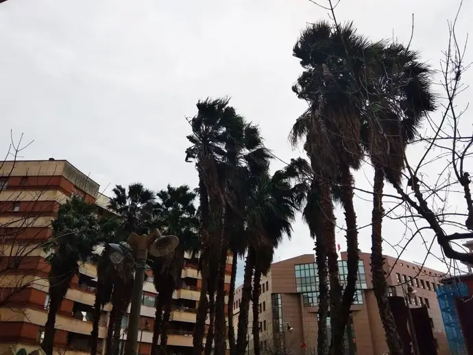Este jueves se activa la alerta por rachas de viento superiores a 100 km/h en Euskadi