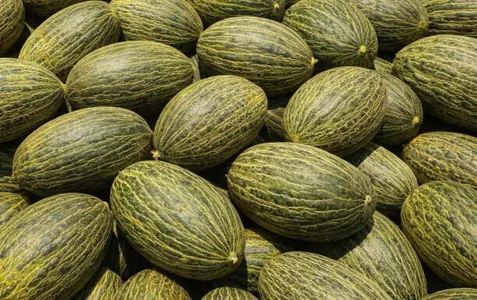 Agricultores advierten sobre la entrada ilegal de melón brasileño en Canarias y acudirán a la