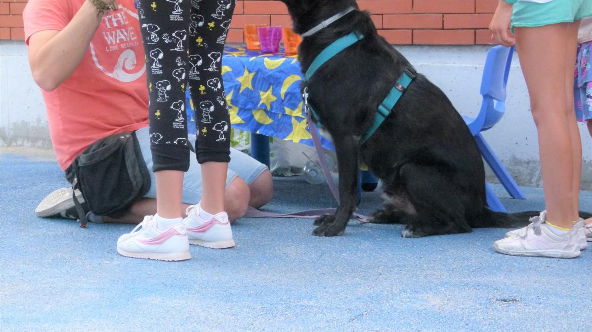 El hospital público Fundación Alcorcón mejora su programa de terapia asistida con animales en