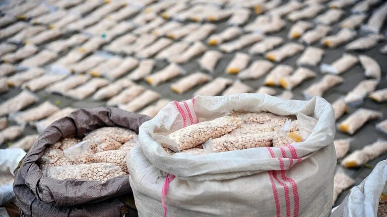 Operación histórica contra el narcotráfico: se confiscan 1.000 toneladas de drogas en total