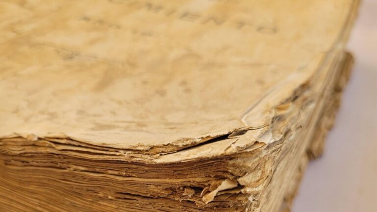 La Comunidad de Madrid recupera 55 libros del Archivo Judicial de Catarroja dañados por las riadas