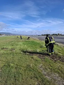 El aeropuerto de Córdoba abrirá nuevamente este sábado tras su cierre por la crecida del