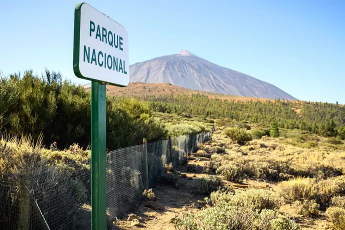 Tenerife reporta su octavo enjambre de eventos híbridos desde 2016, sin peligro de erupción