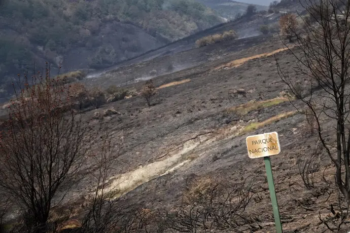 Ecologistas en Acción impugnará el permiso de aprovechamiento ganadero y cinegético en los
