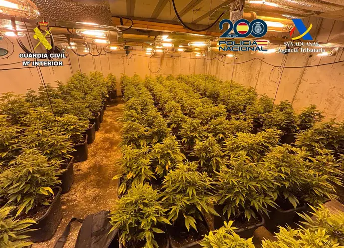 Desmantelan en Lorquí y Molina de Segura una banda criminal dedicada al narcotráfico